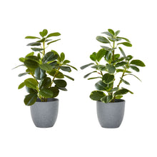 Load image into Gallery viewer, Artificial Ficus Elastica Plant (Set of 2)
