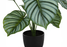 Load image into Gallery viewer, 24" Tall, Artificial Plant, Calathea, Indoor, Faux, Fake, Table, Greenery, Potted, Real Touch, Decorative - Green / Black