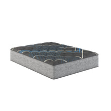 Load image into Gallery viewer, Comfort Care - 14" Hybrid Mattress With Individual Pocketed Coil, Medium Comfort