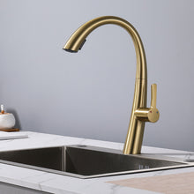 Load image into Gallery viewer, Elegant Single Handle Stainless Steel Pull Out Kitchen Faucet With High Arch Spout
