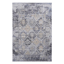 Load image into Gallery viewer, Payas - 6' X 9' Traditional Area Rug - Gray / Blue