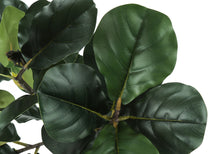 Load image into Gallery viewer, 47" Tall, Artificial Plant, Fiddle Tree, Indoor, Fake, Floor, Greenery, Potted, Real Touch, Decorative - Green / Black