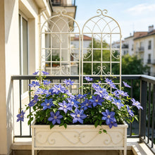 Load image into Gallery viewer, Metal Garden Rustproof Trellis For Climbing Plants Outdoor Flower Support