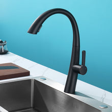 Load image into Gallery viewer, Elegant Single Handle Stainless Steel Pull Out Kitchen Faucet With High Arch Spout