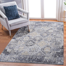 Load image into Gallery viewer, Payas - 6' X 9' Traditional Area Rug - Gray / Blue