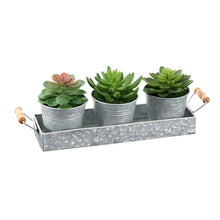 Load image into Gallery viewer, Artificial Succulent, Table Decor (Set of 3) - Green