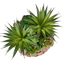Load image into Gallery viewer, Artificial Succulent, Table Decor (Set of 2) - Green