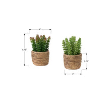 Load image into Gallery viewer, Artificial Succulent, Table Decor (Set of 2) - Green / Light Brown - Plastic