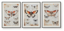 Load image into Gallery viewer, Jossletts - Wall Art Set (Set of 3) - Orange / Black / Ivory