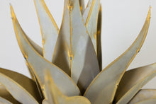 Load image into Gallery viewer, Sharkskin Agave-Large