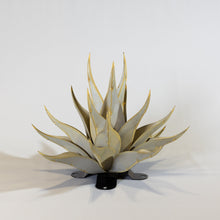Load image into Gallery viewer, Sharkskin Agave-Large