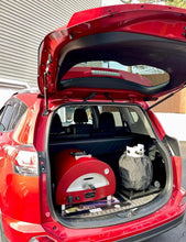 Load image into Gallery viewer, Alfa Moderno Portable Propane Pizza Oven-ANTIQUE RED