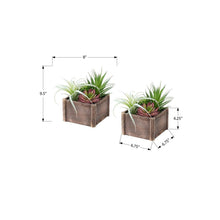 Load image into Gallery viewer, Artificial Succulent, Table Decor (Set of 2) - Green / Dark Brown
