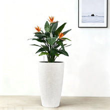 Load image into Gallery viewer, Tall Planters Set With Water Level Monitor And Auto Watering
