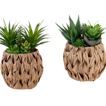 Load image into Gallery viewer, Artificial Succulent, Table Decor (Set of 2) - Green
