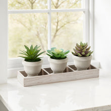 Load image into Gallery viewer, Artificial Succulent, Table Decor (Set of 3) - Green / Beige
