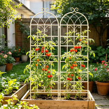 Load image into Gallery viewer, Metal Garden Rustproof Trellis For Climbing Plants Outdoor Flower Support
