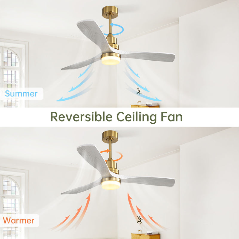 52" Reversible DC Motor Ceiling Fan With Dimmable LED Light, 3 Blades For Living Room,Patio - Gold