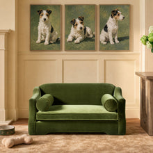 Load image into Gallery viewer, Paloma - Dog Sofa Bed
