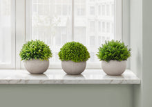 Load image into Gallery viewer, 5" Tall, Artificial Plant, Grass, Indoor, Faux, Fake, Table, Greenery, Potted, Decorative (Set of 3) - Green
