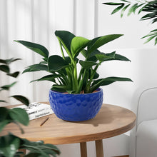 Load image into Gallery viewer, 3 Pieces Ceramic Flowerpot
