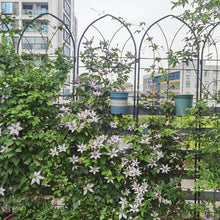 Load image into Gallery viewer, Metal Garden Trellis Rustproof Trellis For Climbing Plant, Outdoor Flower Support
