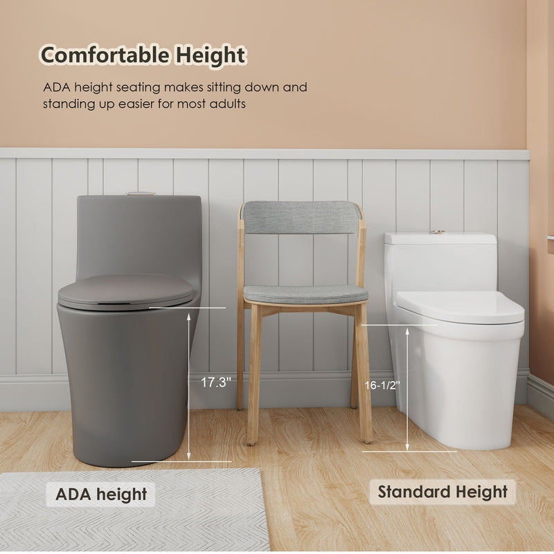 1 Piece Toilet With Dual Flush And Soft Closing Seat
