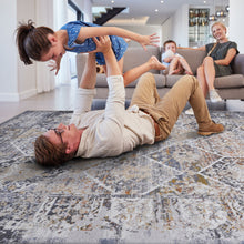 Load image into Gallery viewer, Payas - 5' X 7' Traditional Area Rug - Multi
