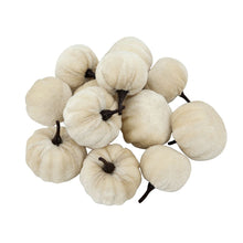 Load image into Gallery viewer, Velvety Pumpkin In Mesh Bag, Bag / 12, For Holiday Harvest Festival Fall Festival &amp; Thanksgiving (Set of 4) - White
