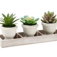 Load image into Gallery viewer, Artificial Succulent, Table Decor (Set of 3) - Green / Beige
