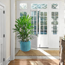 Load image into Gallery viewer, Versatile Flowerpot, Planter For Patio, Garden, Windowsill
