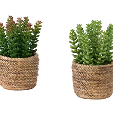 Load image into Gallery viewer, Artificial Succulent, Table Decor (Set of 2) - Green / Light Brown - Plastic
