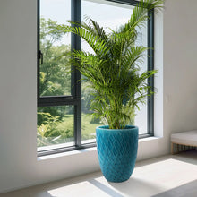 Load image into Gallery viewer, Ceramic Flowerpot, Planter For Patio, Garden, Windowsill
