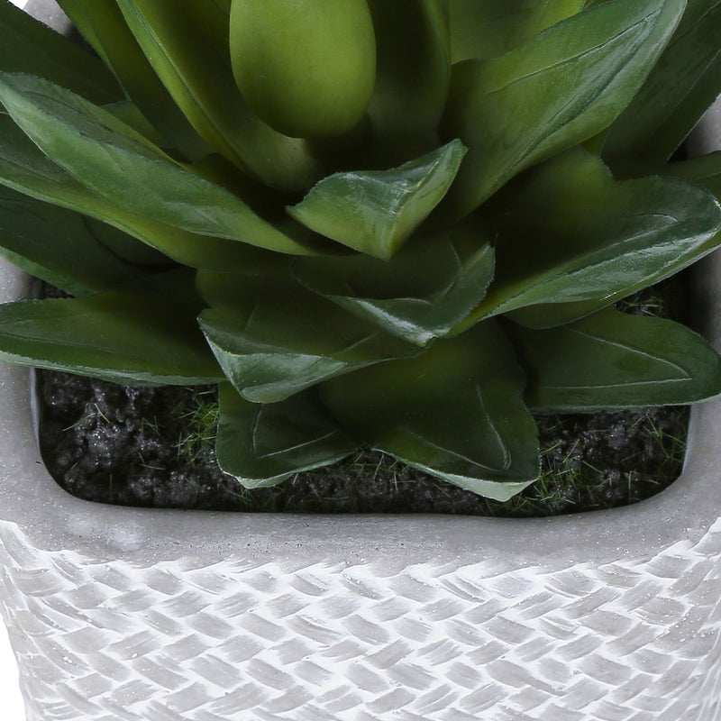 Artificial Succulent Table Decor (Set of 2) - Green Plastic