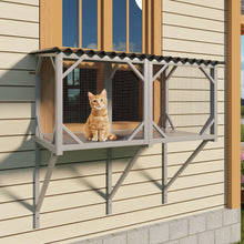 Load image into Gallery viewer, Cat Window Box
