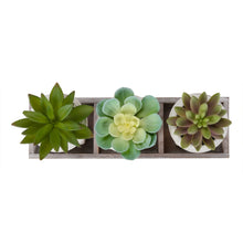 Load image into Gallery viewer, Artificial Succulent, Table Decor (Set of 3) - Green / Beige
