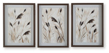 Load image into Gallery viewer, Honslow - Wall Art Set (Set of 3) - Brown / Black / White
