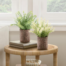 Load image into Gallery viewer, Artificial Plant, Mulberry Grass, Table Decor (Set of 2) - Green
