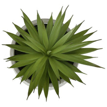 Load image into Gallery viewer, Artificial Succulent, Table Decor (Set of 2) - Green - Plastic
