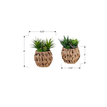 Load image into Gallery viewer, Artificial Succulent, Table Decor (Set of 2) - Green
