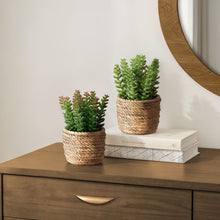 Load image into Gallery viewer, Artificial Succulent, Table Decor (Set of 2) - Green / Light Brown - Plastic
