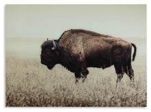 Load image into Gallery viewer, Brutus - Wall Art - Sepia
