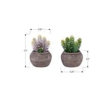 Load image into Gallery viewer, Artificial Succulent, Table Decor (Set of 2) - Green / Brown
