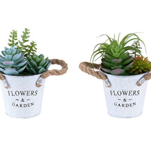 Load image into Gallery viewer, Artificial Succulent, Table Decor (Set of 2) - Green / White
