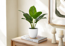 Load image into Gallery viewer, 17" Tall, Artificial Plant, Aureum, Indoor, Faux, Fake, Table, Greenery, Potted, Real Touch, Decorative - Green / White
