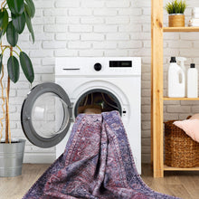 Load image into Gallery viewer, Maval - Area Rug Washable
