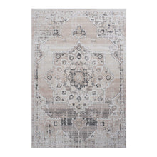 Load image into Gallery viewer, Payas - Medallion Area Rug

