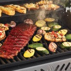 FREESTYLE 365 GAS GRILL-GRAY