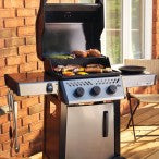 FREESTYLE 365 GAS GRILL-GRAY