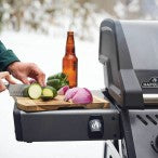 FREESTYLE 365 GAS GRILL-GRAY